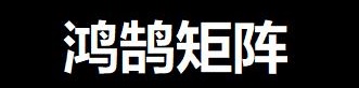 网络公司